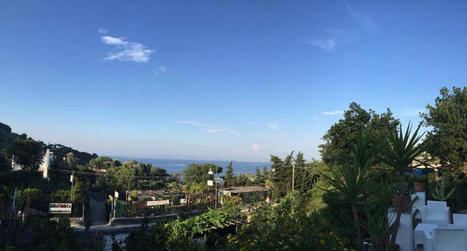 Lacco Ameno  Sweet Home المظهر الخارجي الصورة