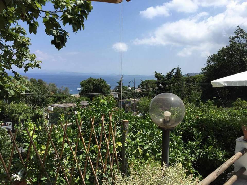 Lacco Ameno  Sweet Home المظهر الخارجي الصورة